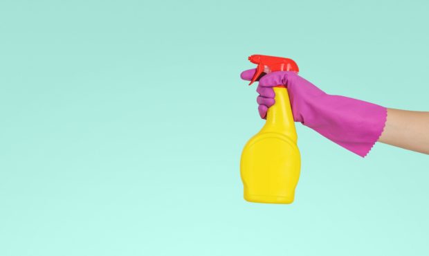 The Difference between Sanitizing and Disinfecting